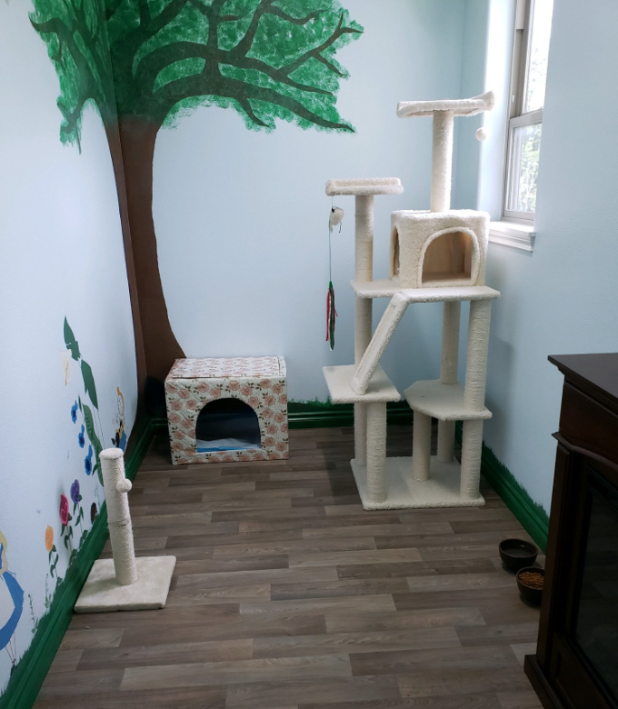 kitty nursery