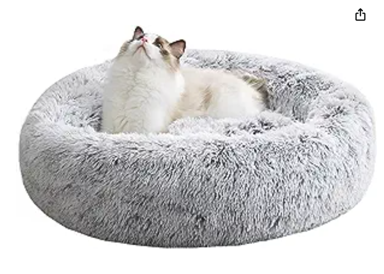 cat bed