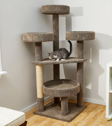 cat tree for Ragdolls and large cats