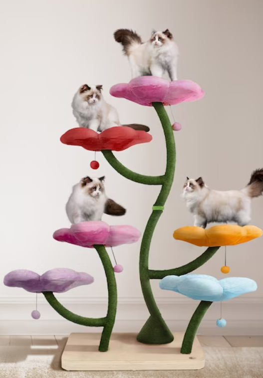 Ragdolls in a cat tree