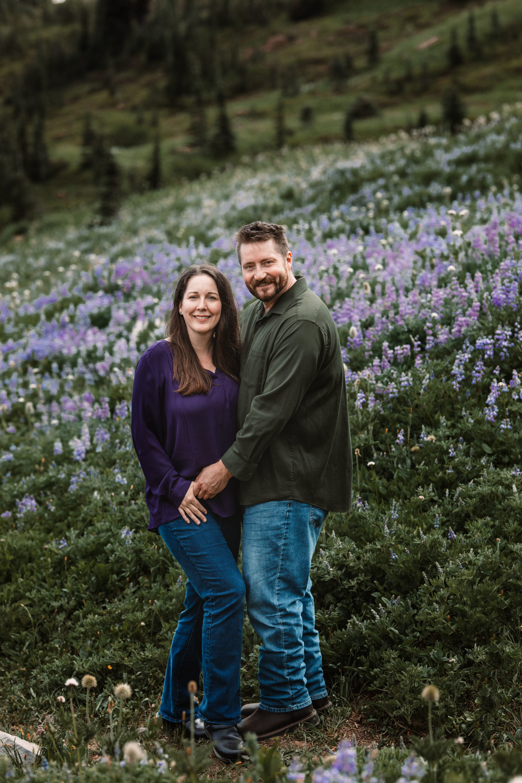 Ragdoll breeders in Washington State